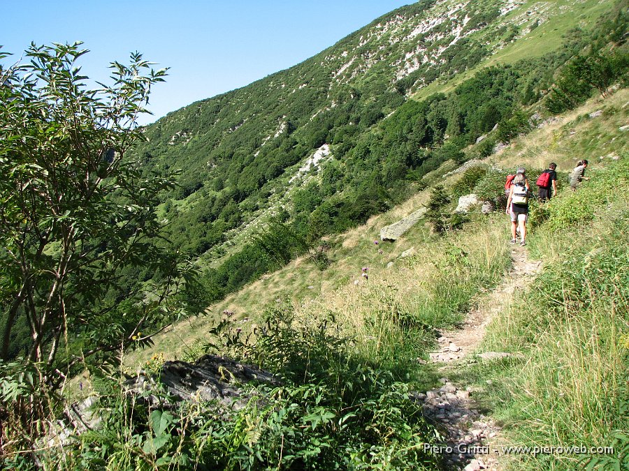 Valcorte 047.jpg - Sul sentiero 216 che sale dal Rif. Alpe Corte al Passo dei Laghi Gemelli